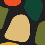 Abstract organic shapes in orange, dark green, olive green, and beige on a black background.