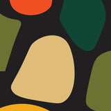Abstract organic shapes in orange, dark green, olive green, and beige on a black background.