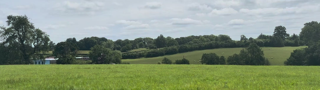video of an English country landscape with 2 women walking across the field